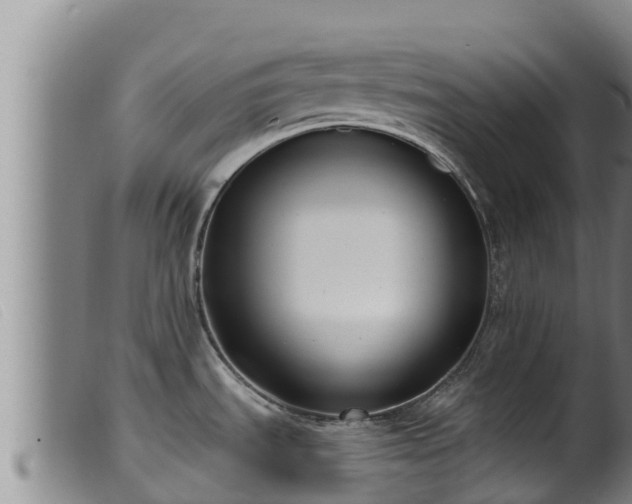 X0000099541535200805231114