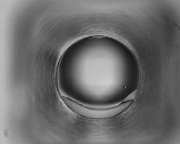 X0000099541536200805231114