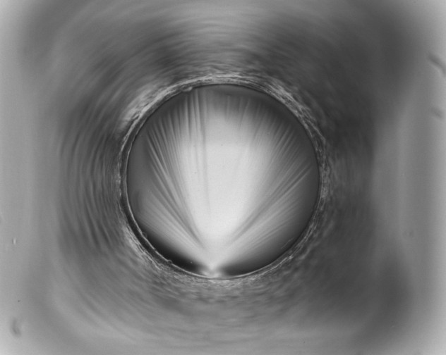 X0000099540002200805301510