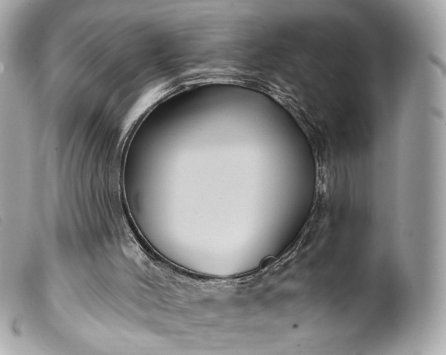 X0000099540004200805301510