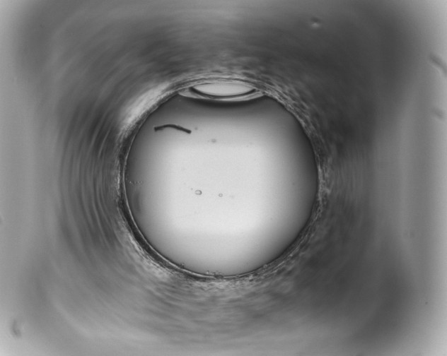 X0000099540005200805301510