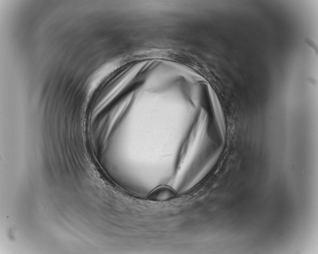 X0000099540006200805301510