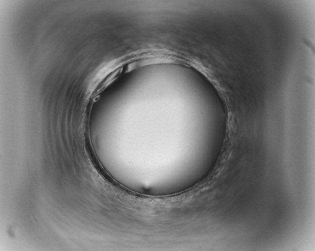 X0000099540007200805301510