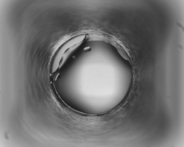 X0000099540008200805301510