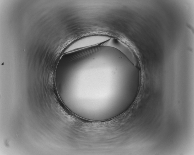 X0000099540009200805301510