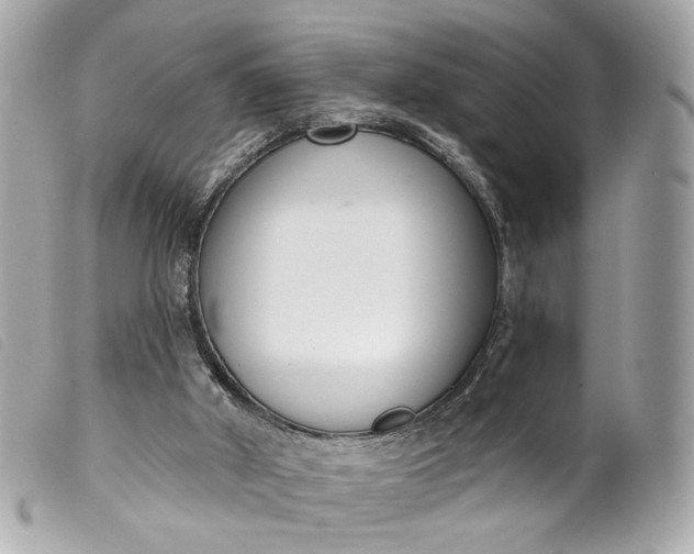 X0000099540010200805301510