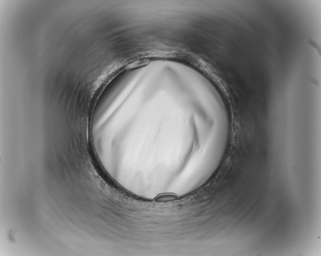 X0000099540011200805301510