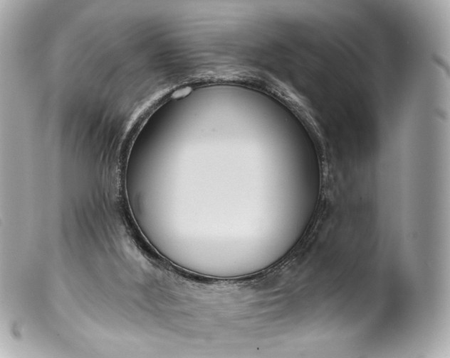 X0000099540012200805301510