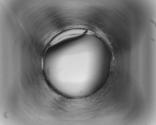 X0000099540013200805301510