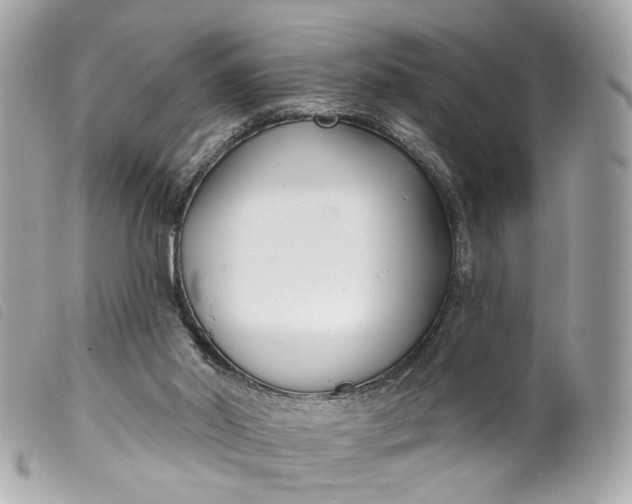 X0000099540014200805301510