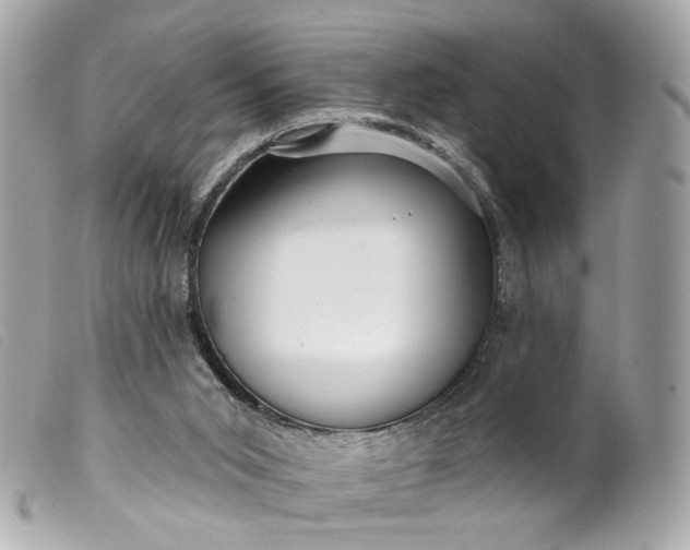 X0000099540015200805301510