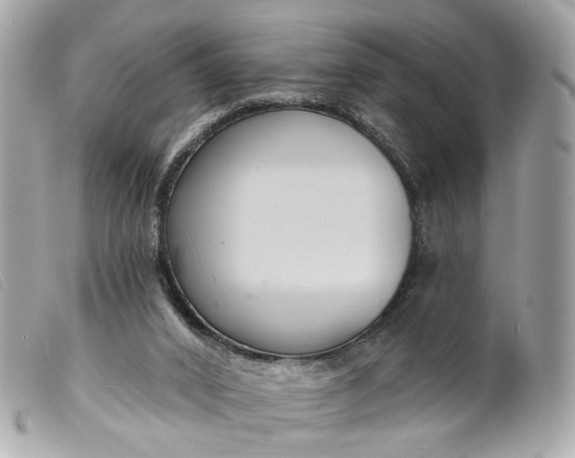 X0000099540016200805301510