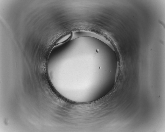 X0000099540017200805301510