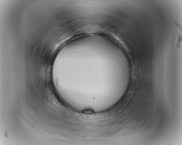 X0000099540018200805301510