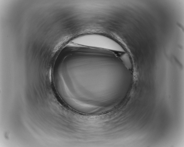 X0000099540019200805301510