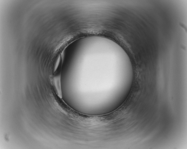 X0000099540020200805301510