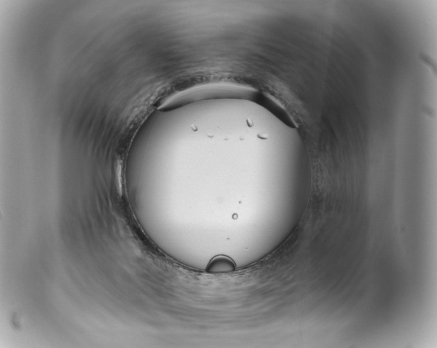 X0000099540022200805301510