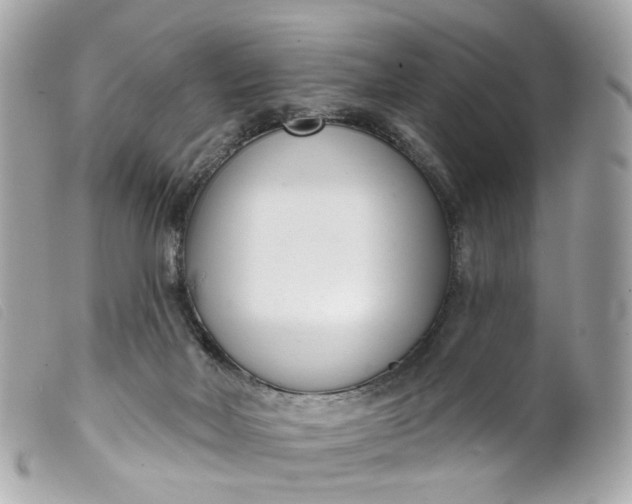 X0000099540026200805301510