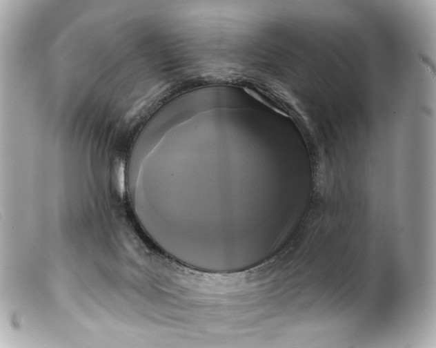 X0000099540027200805301509