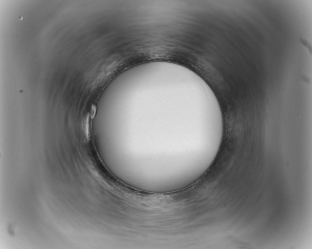 X0000099540028200805301509