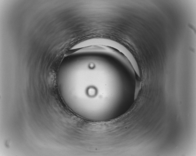 X0000099540029200805301509