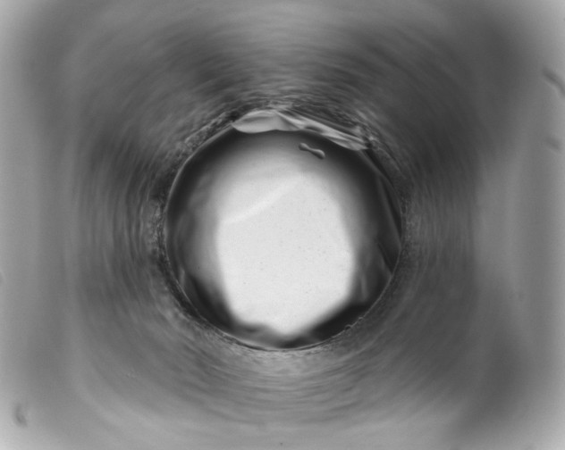 X0000099540030200805301509