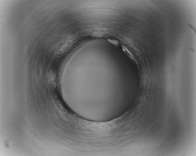 X0000099540031200805301509