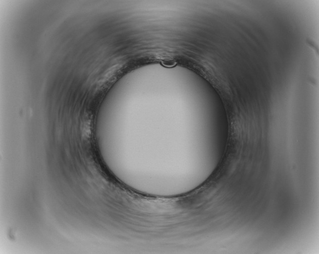 X0000099540032200805301509