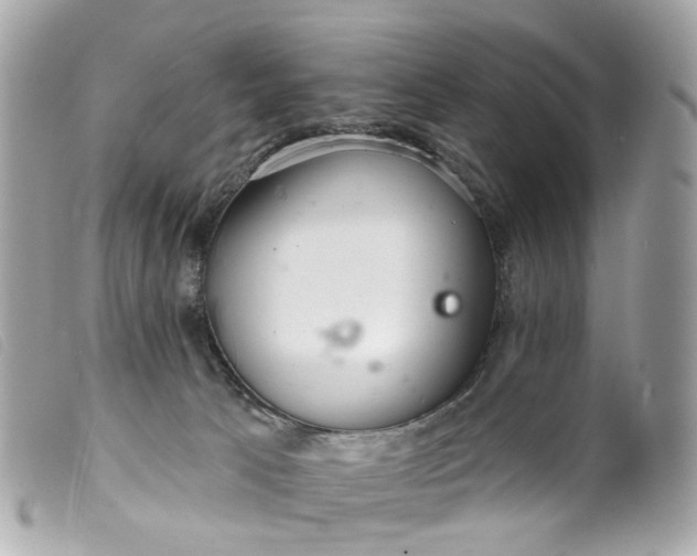 X0000099540033200805301509