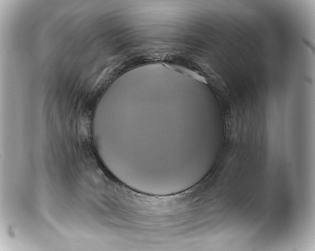 X0000099540035200805301509