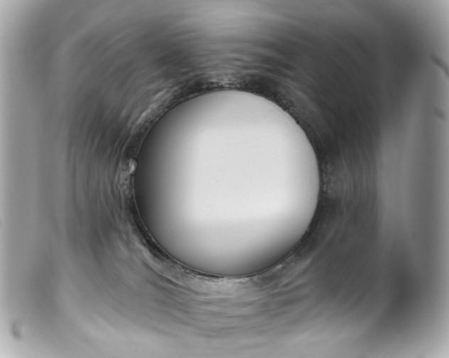 X0000099540036200805301509