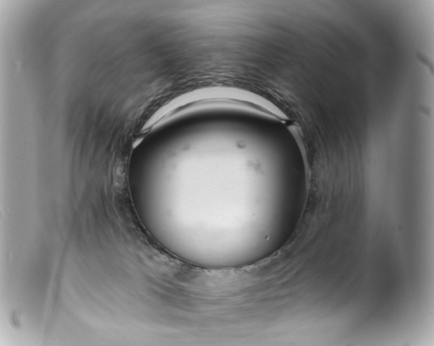 X0000099540037200805301509