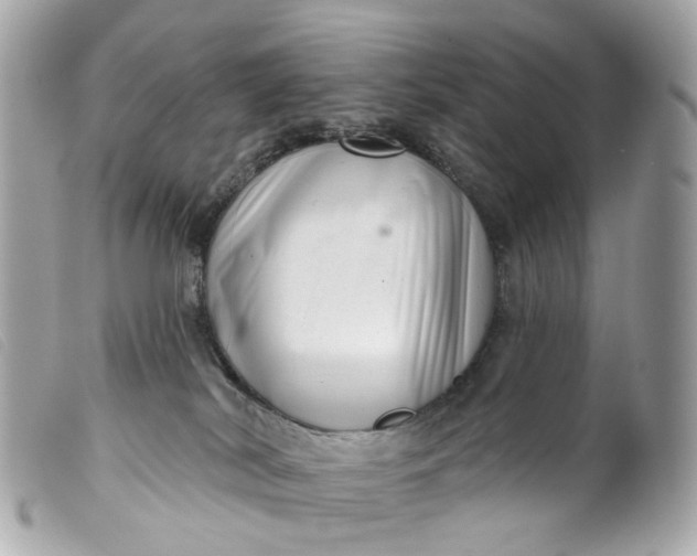 X0000099540038200805301509