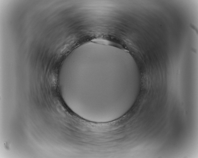 X0000099540039200805301509