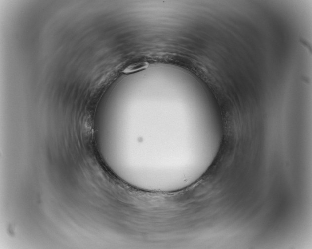 X0000099540040200805301509