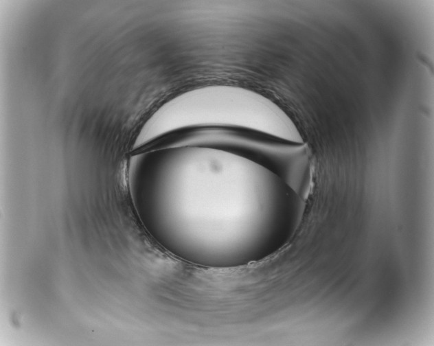 X0000099540041200805301509