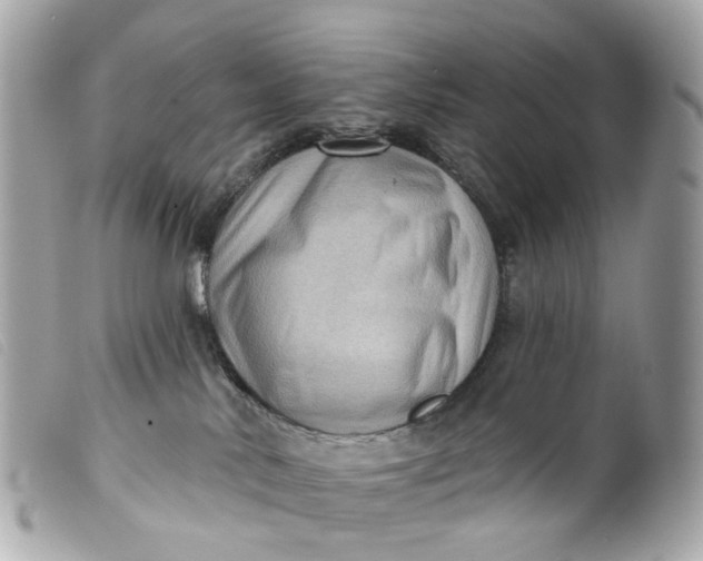 X0000099540042200805301509