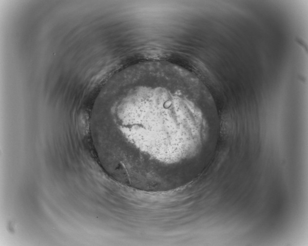 X0000099540043200805301509