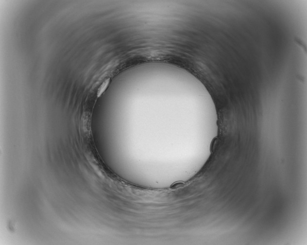 X0000099540044200805301509