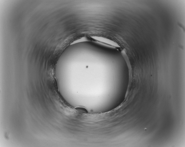 X0000099540045200805301509