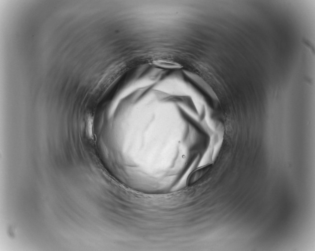 X0000099540046200805301509