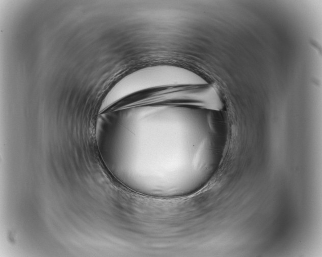 X0000099540048200805301509