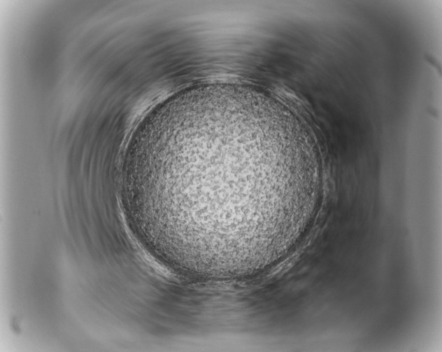 X0000099540049200805301509