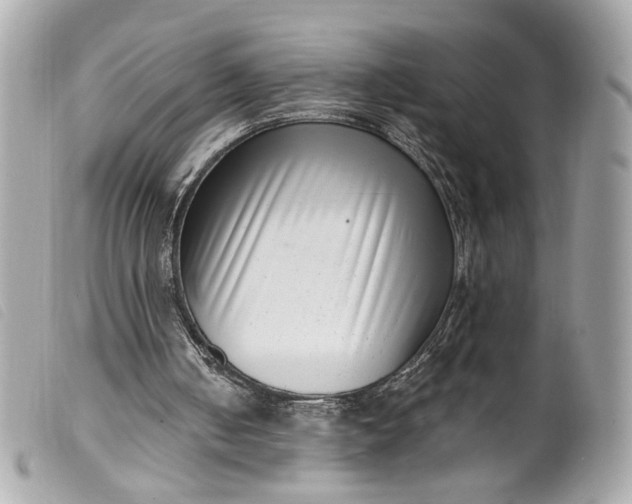 X0000099540050200805301509