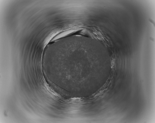 X0000099540052200805301509