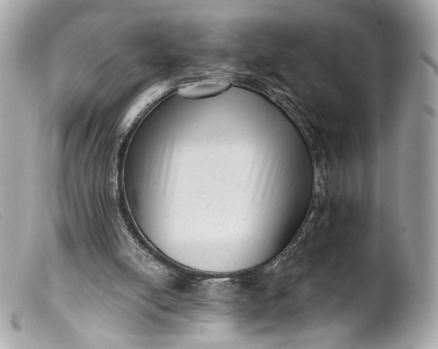 X0000099540054200805301509