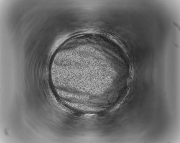 X0000099540055200805301509