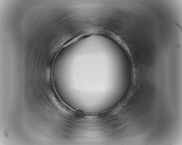 X0000099540057200805301509