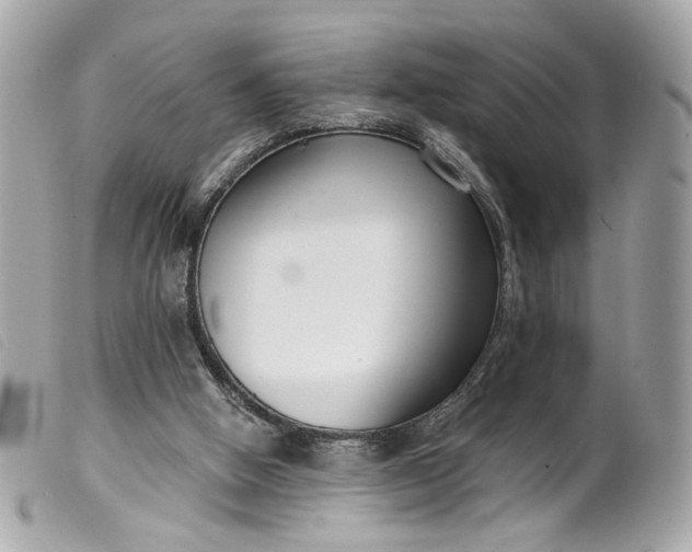 X0000099540058200805301509