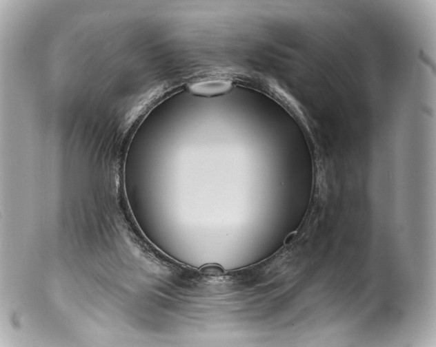 X0000099540059200805301509